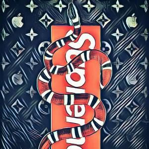 Meet your Posher, Bryce